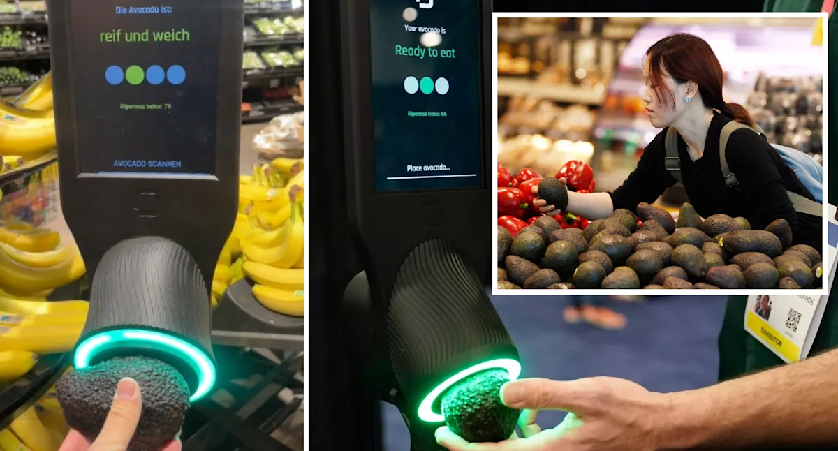 Smartphone-powered AI predicts avocado ripeness