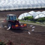 Essential Greenhouse Equipment for Optimal Plant Growth