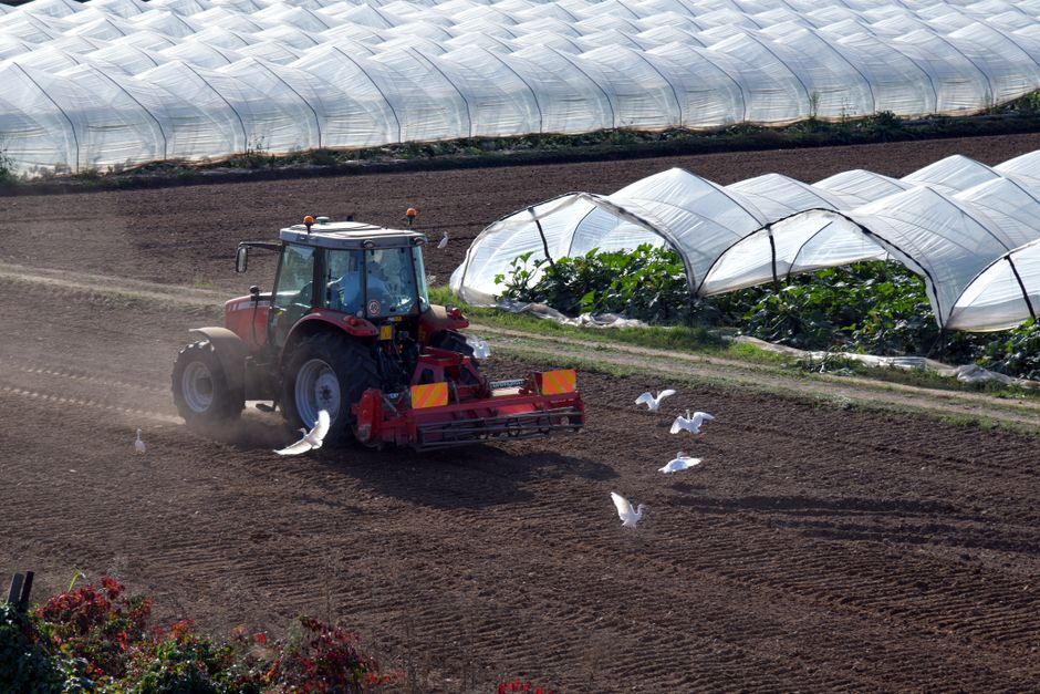 greenhouse equipment