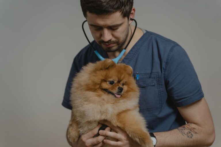 clínica veterinaria reserva