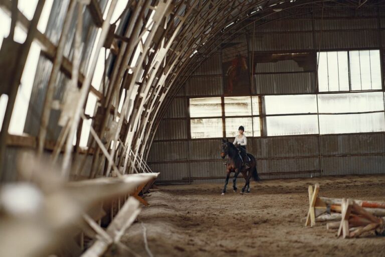 horse riding lessons